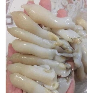 Ruột Ốc Móng Tay 500gam