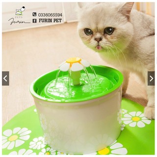 Máy lọc nước tự động cho thú cưng