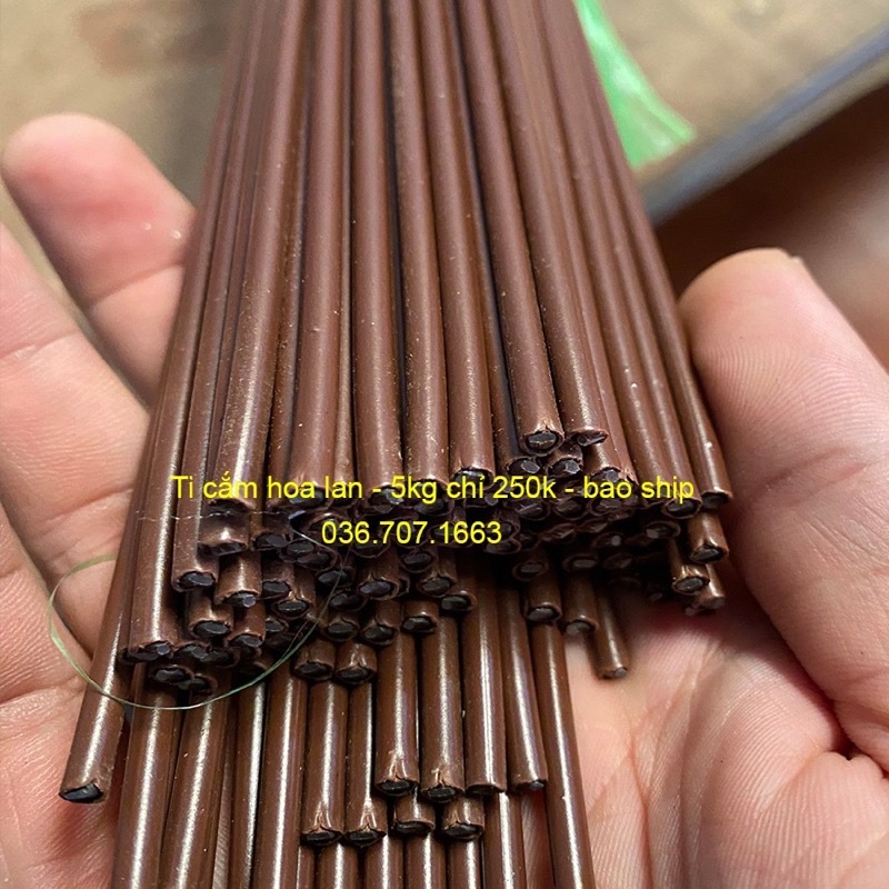Cây Que Cắm Giữ Lan Hồ Điệp, Hoa Hồng, Hoa Giả