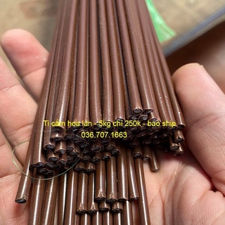 Cây que cắm giữ lan hồ điệp, hoa hồng, hoa giả