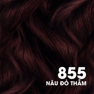 Thuốc nhuộm tóc phủ bạc Bigen Speedy