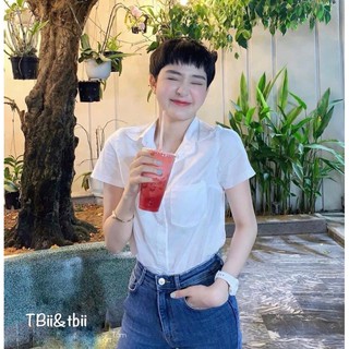 Áo sơ mi Trắng Cộc tay basicc