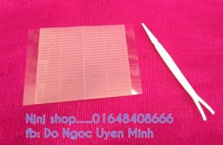 CHỈ KÍCH MÍ HÀN QUỐC