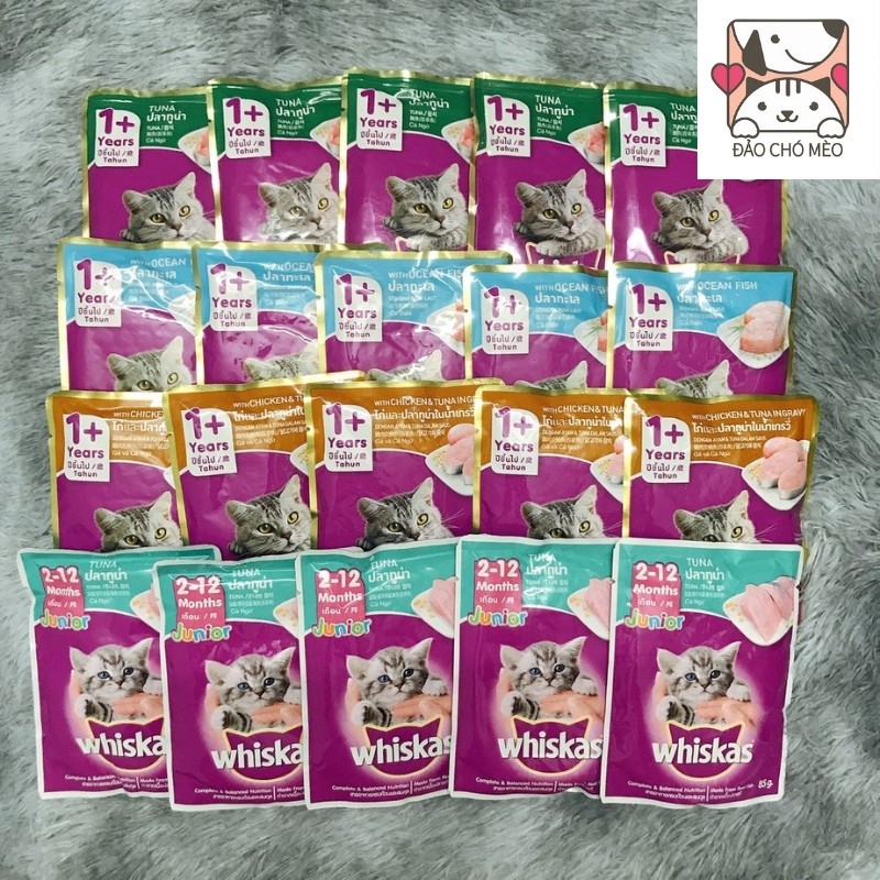 Pate Mèo Whiskas Junior Tuna 85g cung cấp nguồn dinh dưỡng dồi dào cho mèo - Đảo Chó Mèo