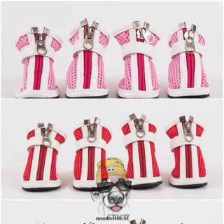 GIÀY CHO THÚ CƯNG - CHÓ MÈO dễ mang