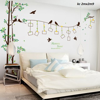 decal dán tường cây khung ảnh