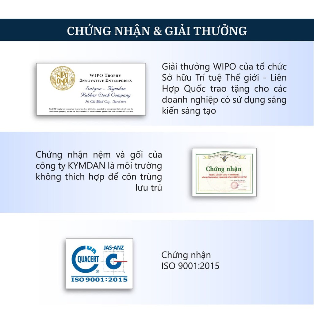 Nệm cao su thiên nhiên KYMDAN Mini