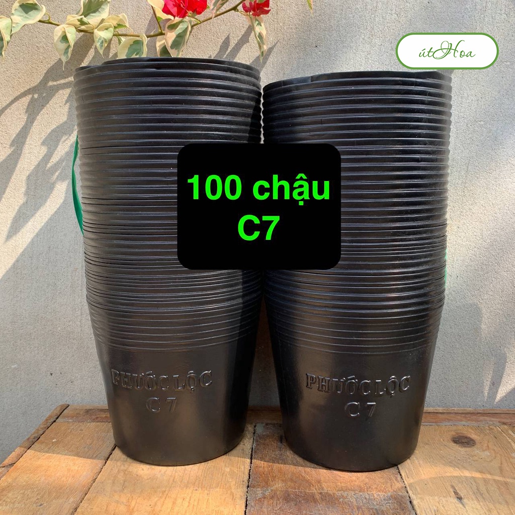 100 chậu nhựa đen C7 trồng cây, trồng hoa, ươm cây