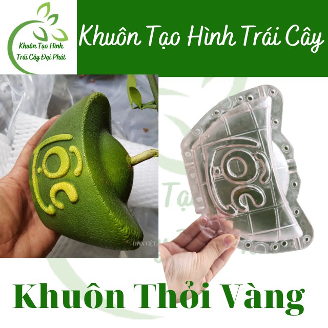 (Bưởi 1,2-1,8kg) Khuôn Thỏi Vàng Số 3 Cỡ Đại, Loại Dày 5 li, Khuôn Tạo Hình Trái Cây Chữ TÀI LỘC (Hàng Loại 1, bền đẹp)