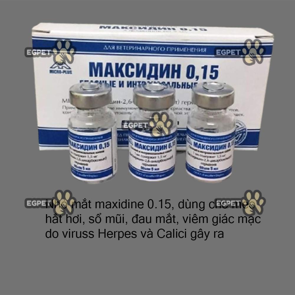 Nhỏ mắt mũi cho chó mèo Maxidine 0.15 nhập Nga, nhỏ mắt mũi chó mèo Herpes, viêm giác mạc, sổ mũi, chảy nước mắt