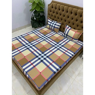 Sét gối và ga chun chần bông