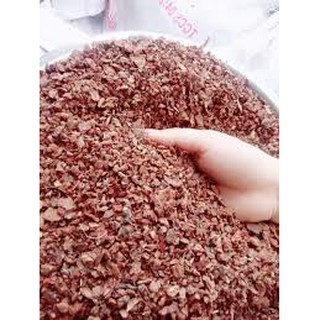 VỎ THÔNG VỤN TRỒNG LAN