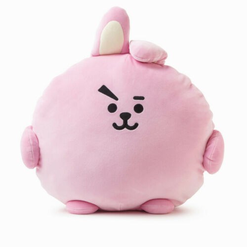 Gối ngủ poong cushion bt21 Kpop