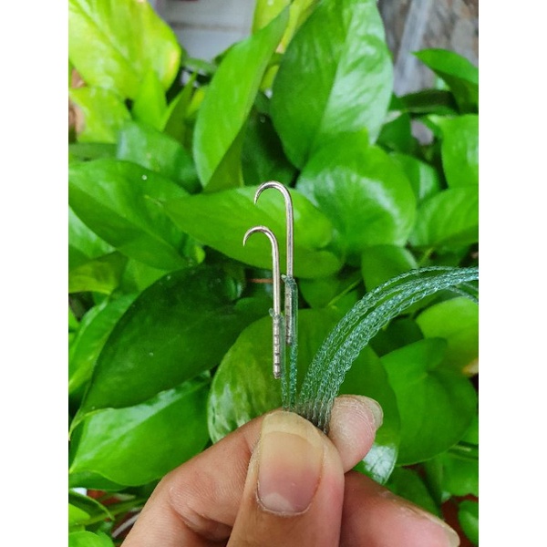 2 bộ lưỡi câu lươn:tuỳ chọn