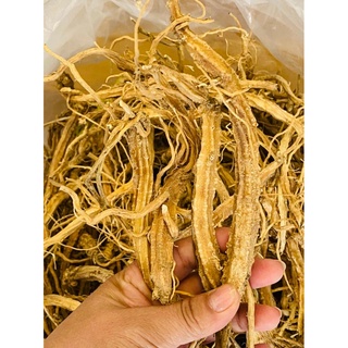Sâm dây ngọc linh - gói 250g