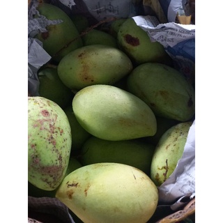 Xoài cát 1kg