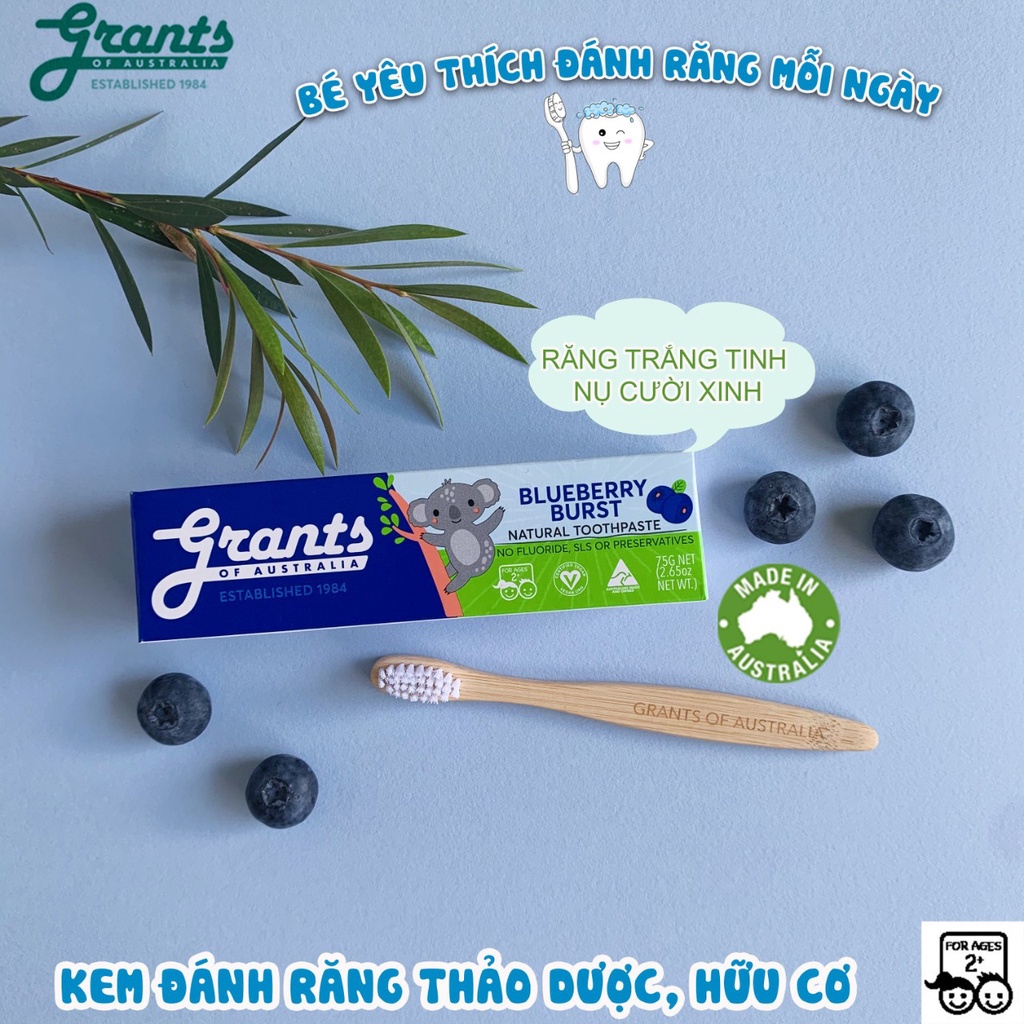 Combo 2 hộp kem đánh răng trẻ em thảo dược hữu cơ Việt quất - Dâu tây Grants of Australia - 75g