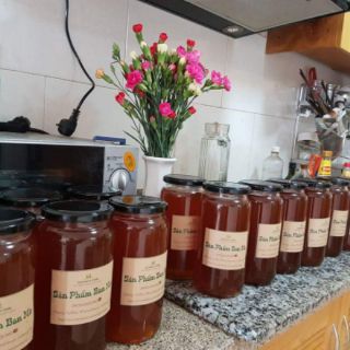 Mật ong hoa cafe (Honey from Cofee Flowers)
