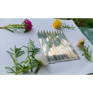 Dao Xẽ Tôm - Sét 5 Cây. Chất Liệu Inox 304 Cao Cấp Không Rỉ Sét. 5 Cây Dao Xẽ LưngTôm + Rút Tim Tôm