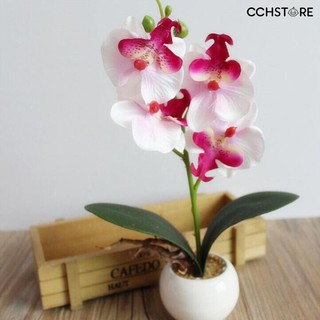 Chậu Hoa Lan Nhân Tạo Trang Trí Nội Thất Đẹp Mắt