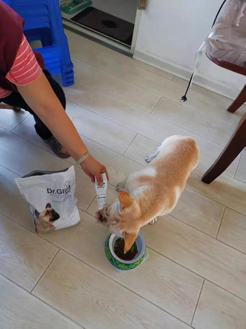 SET 2 túi Thức ăn cho chó Bull Pháp DR.GLINT