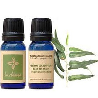 Tinh dầu Bạch đàn chanh nhập khẩu La champa 10ml