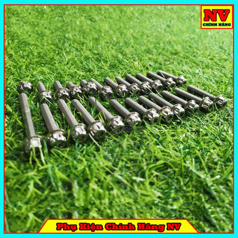 Bộ Ốc Lốc Máy Winner Mẫu Salaya Inox 304 (24 Con)