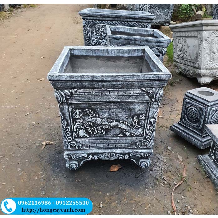 Chậu Xi Măng Vuông Chân Quỳ 60cm II Chậu Trồng Cây