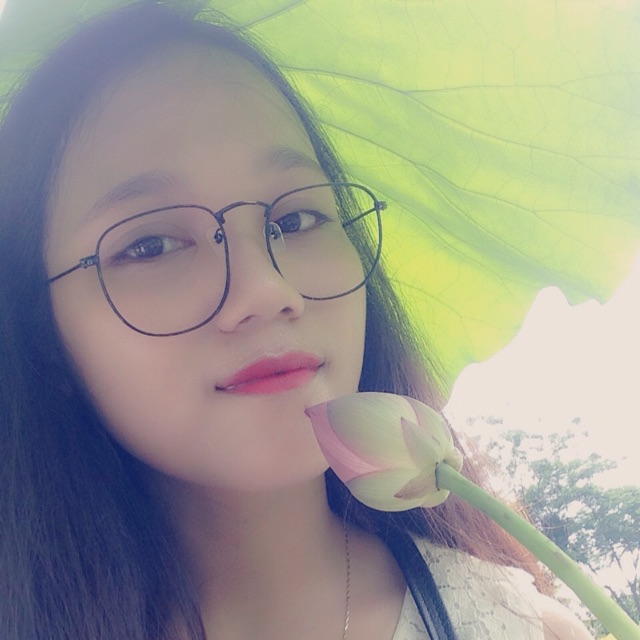 haly2409