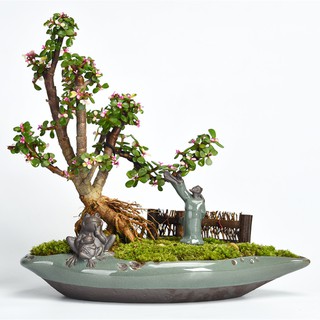 Chậu trồng bon sai đẹp LC032 - Chậu Gốm Trồng Cây Trang Trí Tiểu Cảnh
