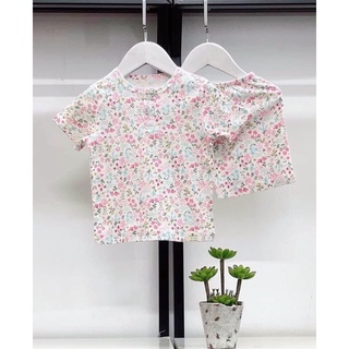 Bộ cotton cộc tay