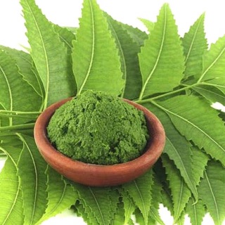 1KG Bột lá neem Ấn Độ
