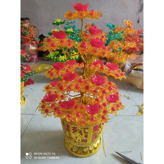 Xả lỗ ( còn 5 cây) Cây Kim Tiền Cành Vàng Lá Ngọc size lớn (42cm) có đèn nhấy xài pin cục