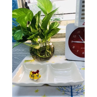 Chén chấm 2 ngăn