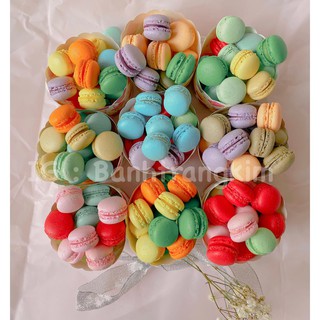 Macaron (mini size 30v)