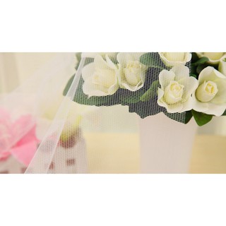Lưới Chống Mũi và Côn Trùng