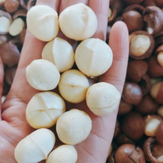 0.5kg MACCA NHÂN LÂM ĐỒNG