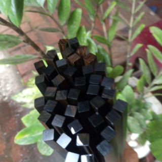 Đũa gỗ mun sừng (6 đôi)