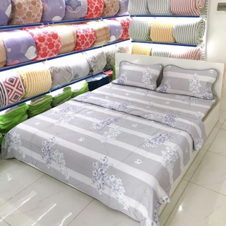 Chiếu tencel cao su non cao cấp