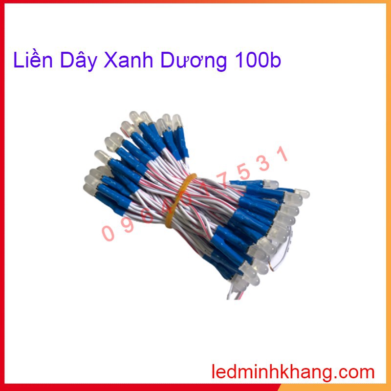 Led liền dây 5V