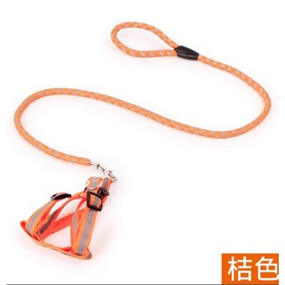 Dây dắt chó dạ quang