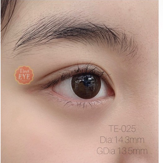 Kính Áp Tròng Tinteye Lens TE-025 Nâu Mắt Ướt