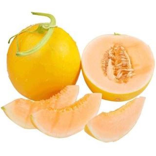 Combo hạt giống trái cây khách đặt hàng oder