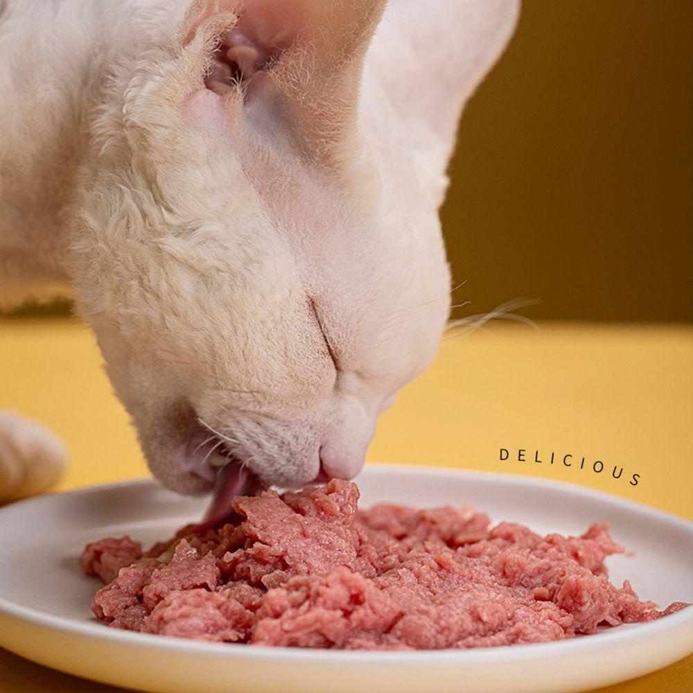 Hộp 1 80g Đựng Thức Ăn Khô / Ướt Cho Mèo Tiện Dụng