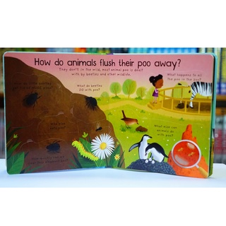 Sách First Questions and Answers: Where Does Poo Go?
