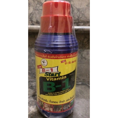 Vitamin B1 Thái Lan Chai 1000ml