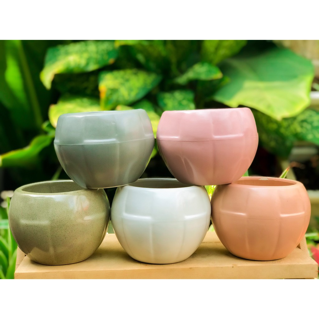 CHẬU BÓNG BÍ CUTE TRỒNG SEN ĐÁ