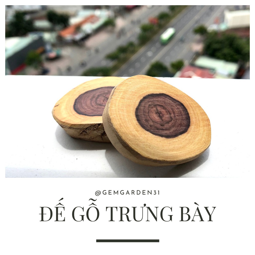 Đế Gỗ Trưng Bày Đá & Tinh Thể