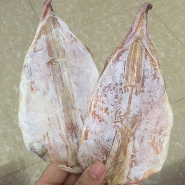 10 con mực như hình