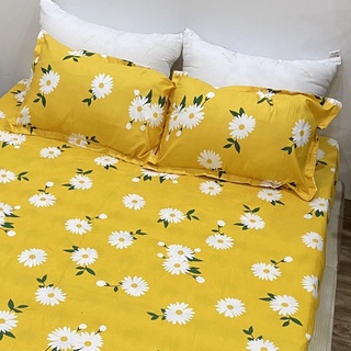 Combo 2 ruột gối nằm bông hạt 45x65cm